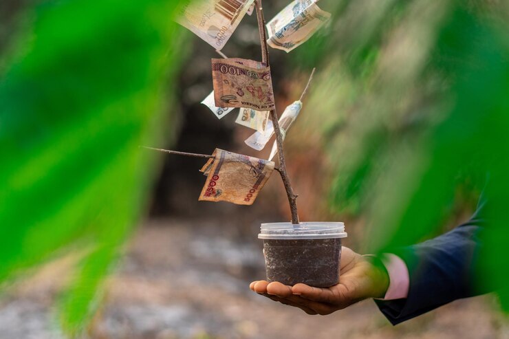 هزینه نگهداری نهال میوه چرا مهم است؟