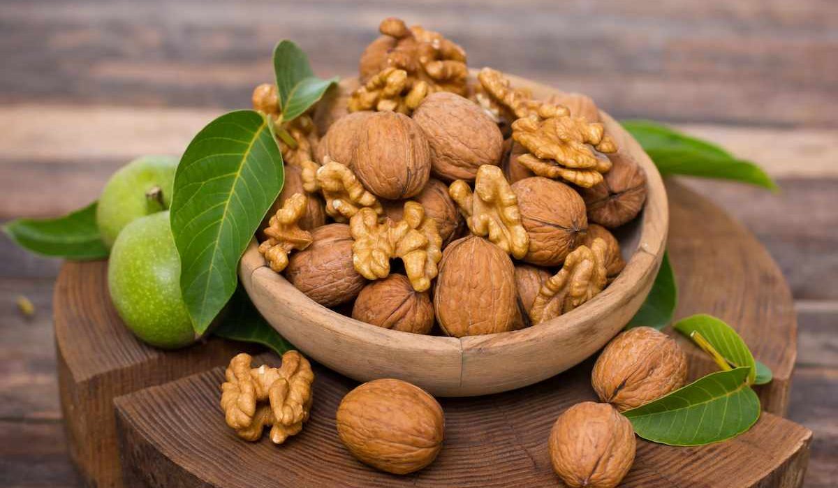 انواع نهال گردو (پیوندی، بذری و ژنوتیپ)