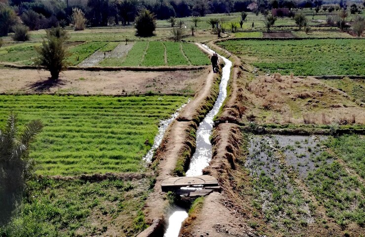 آبیاری سنتی