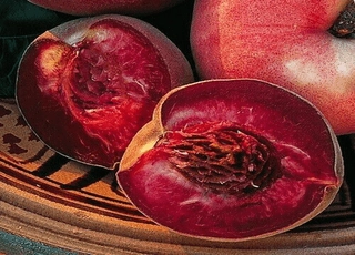 نهال هلو خونی