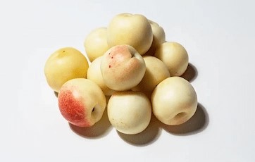 نهال شلیل سفید