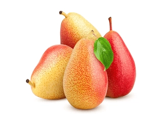 نهال گلابی فورل