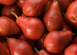 نهال گلابی رد آنجو