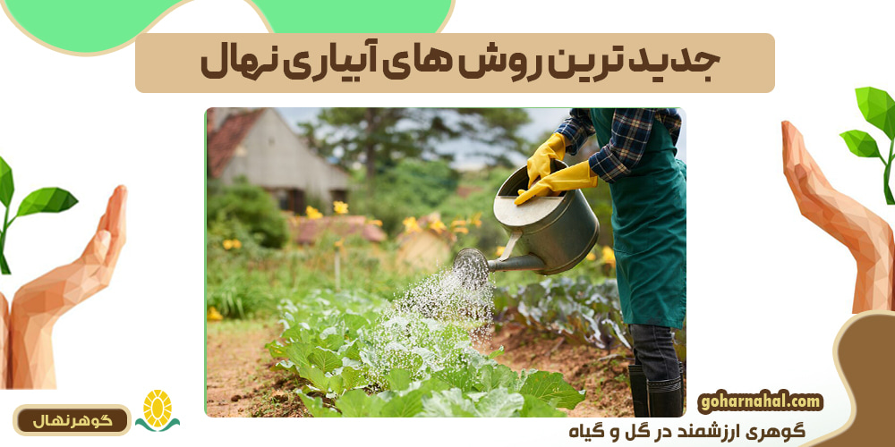 جدیدترین روشهای آبیاری نهال