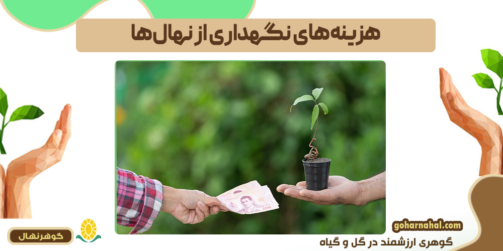 هزینههای نگهداری از نهال میوه